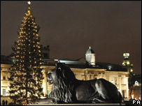 Christmas tree - Trafalgar Square